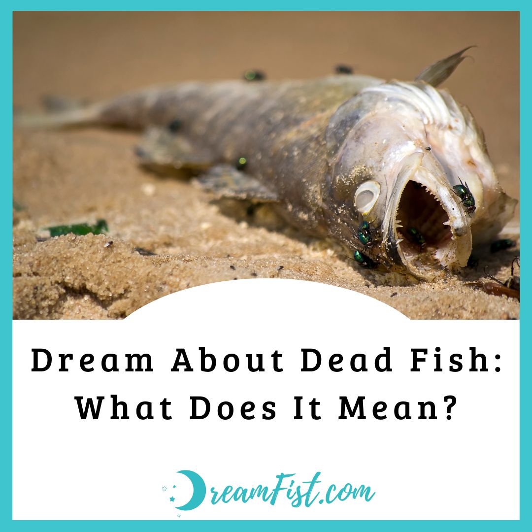 What Does A Dead Fish Symbolize Spiritually?
