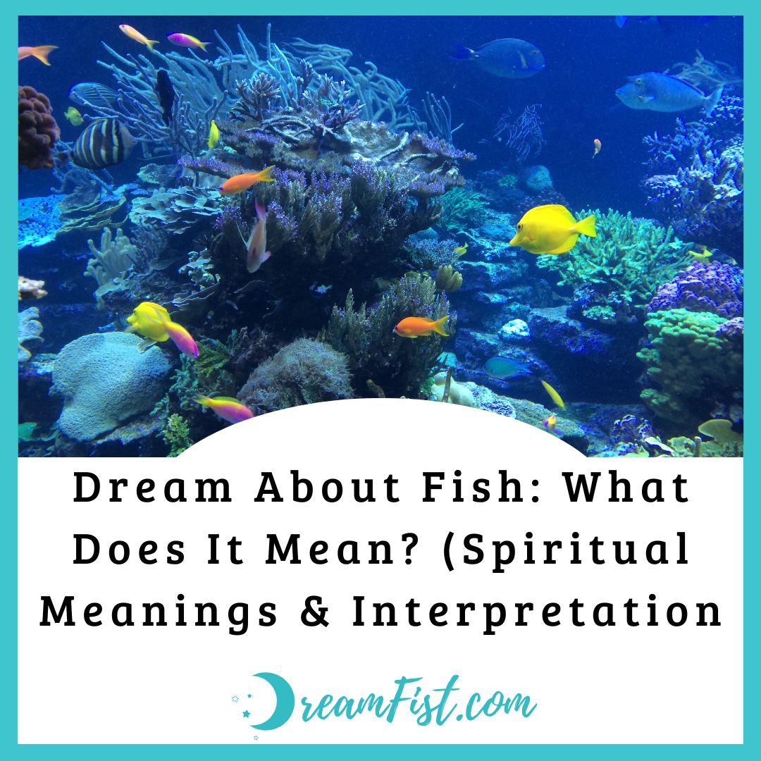 What Does It Mean When You Dream of a Fish?