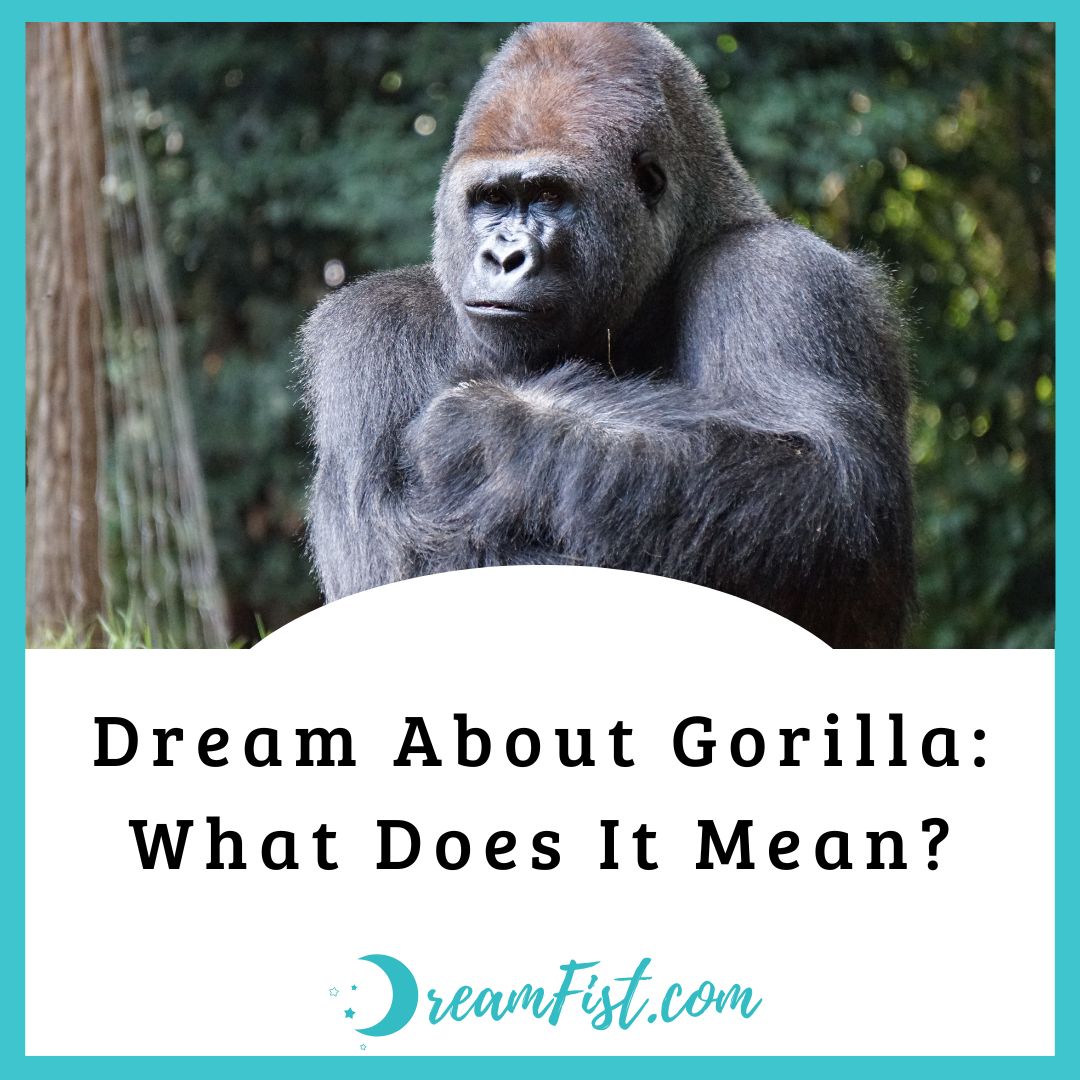 What Do Gorillas Symbolize In Dreams?