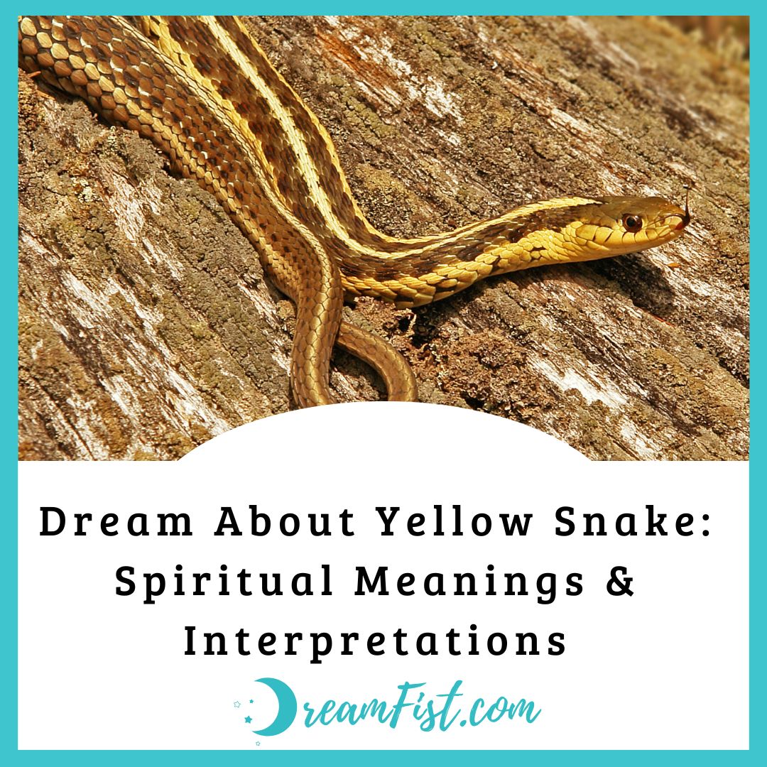 What Does a Yellow Snake Mean In a Dream?