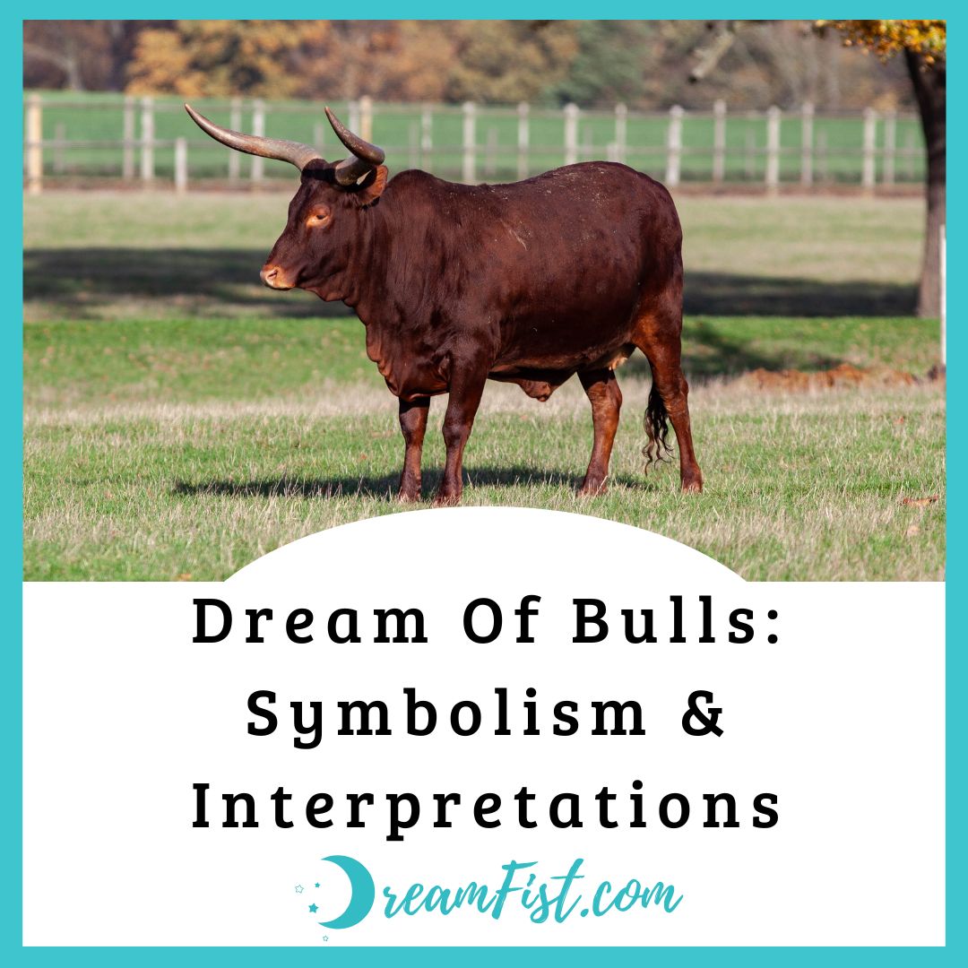 What Does It Mean To Dream Of Bull?