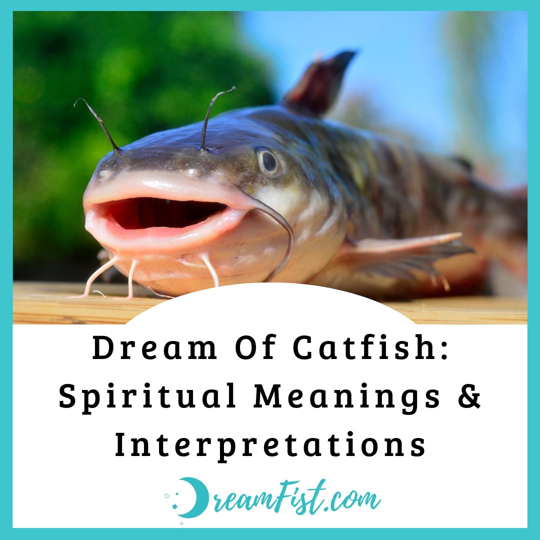 What Does Catfish Symbolize In Dreams?