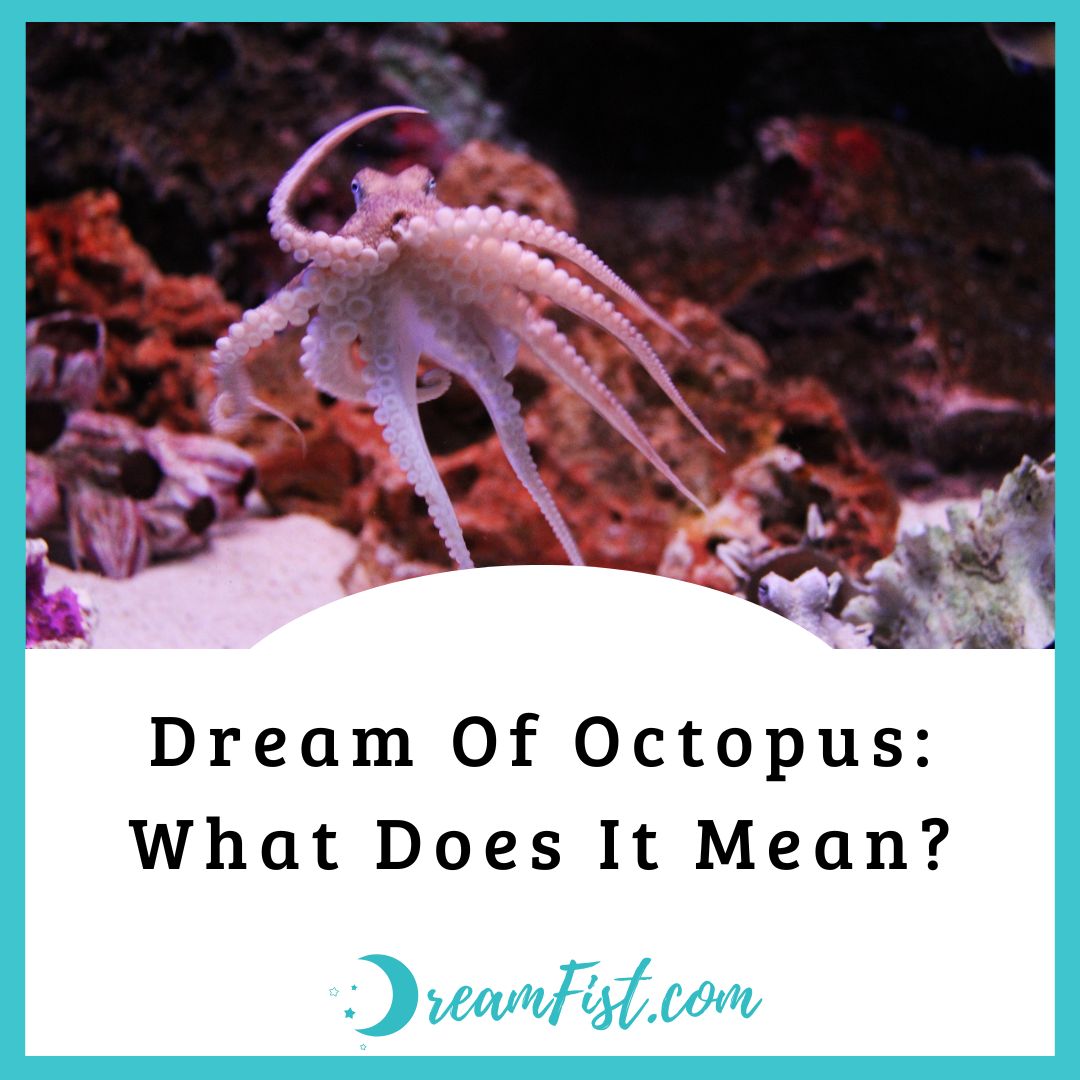 What Does Dreaming About Octopus Symbolize?