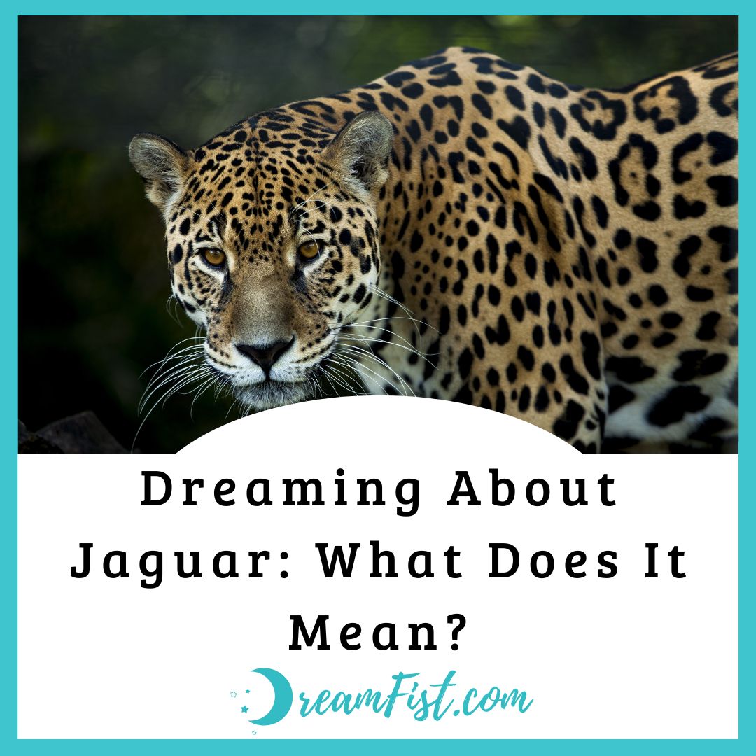What Do Dreams About Jaguar Symbolize?