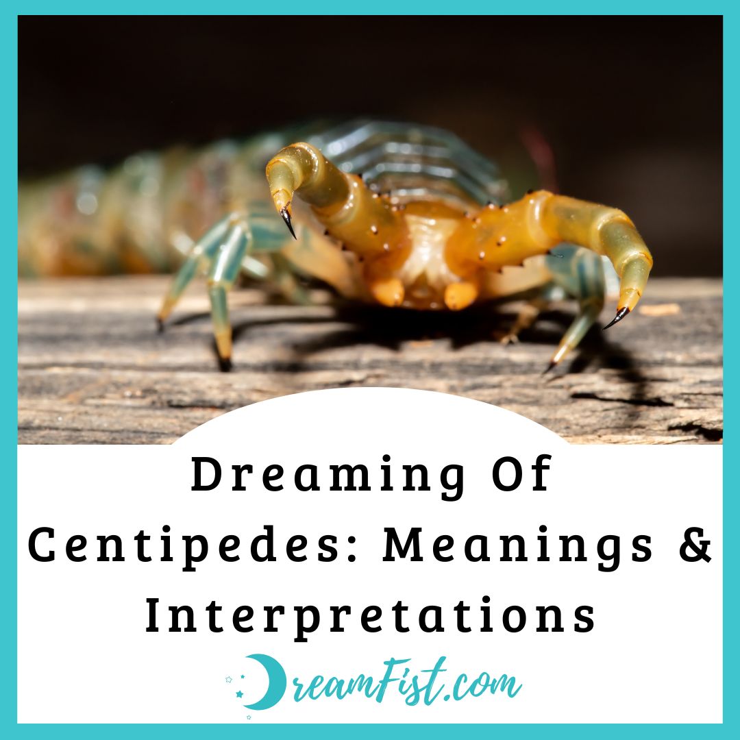 What Does It Mean To Dream Of Centipedes?