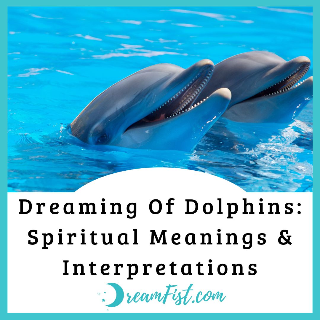 Dolphin Spirit animal : Symbolism and meaning