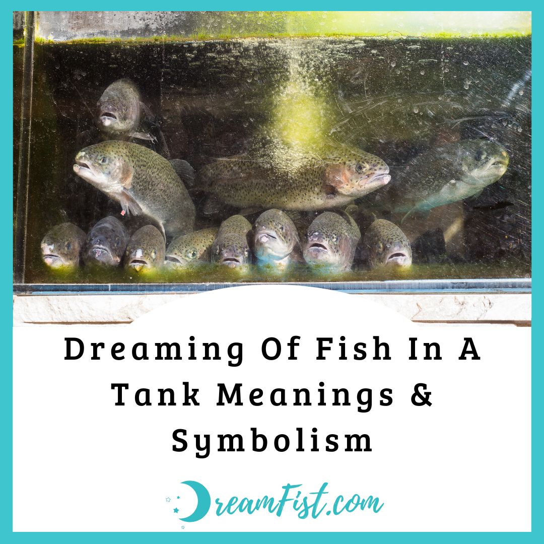 What Does It Mean To Dream Of Fish In A Tank?