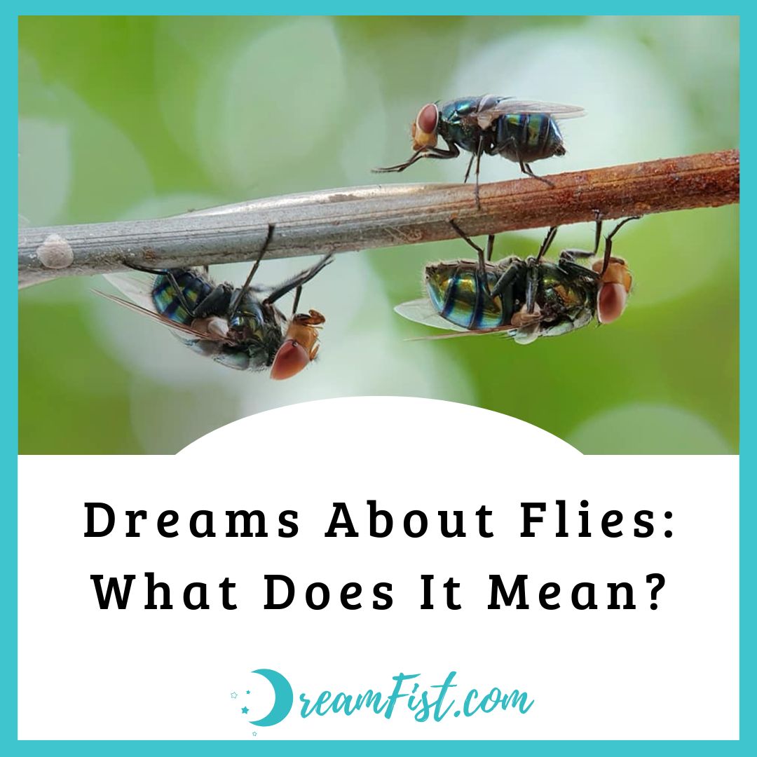 What Does It Mean When You Dream About Flies?