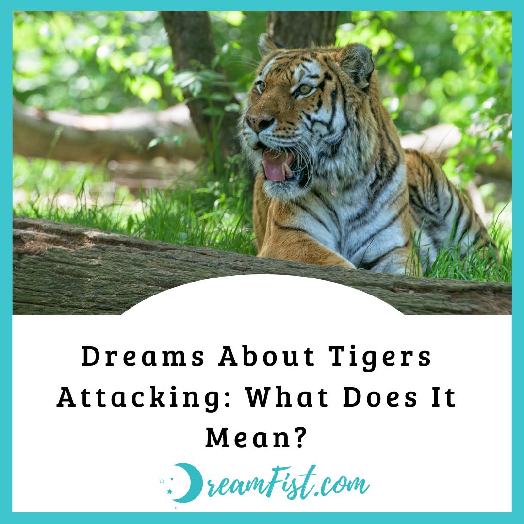 What Does It Mean When You Dream About Tiger Attacking?