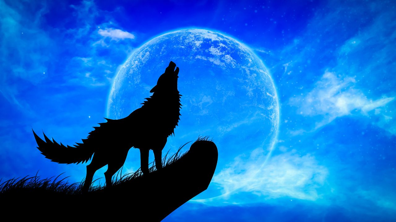 Biblical Meaning of Dreams About Wolves