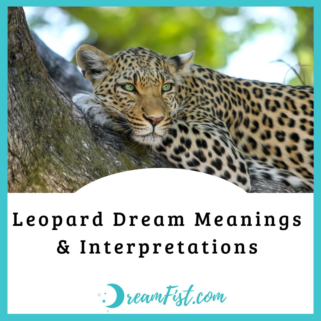 What Does Dream About Leopard Symbolize?