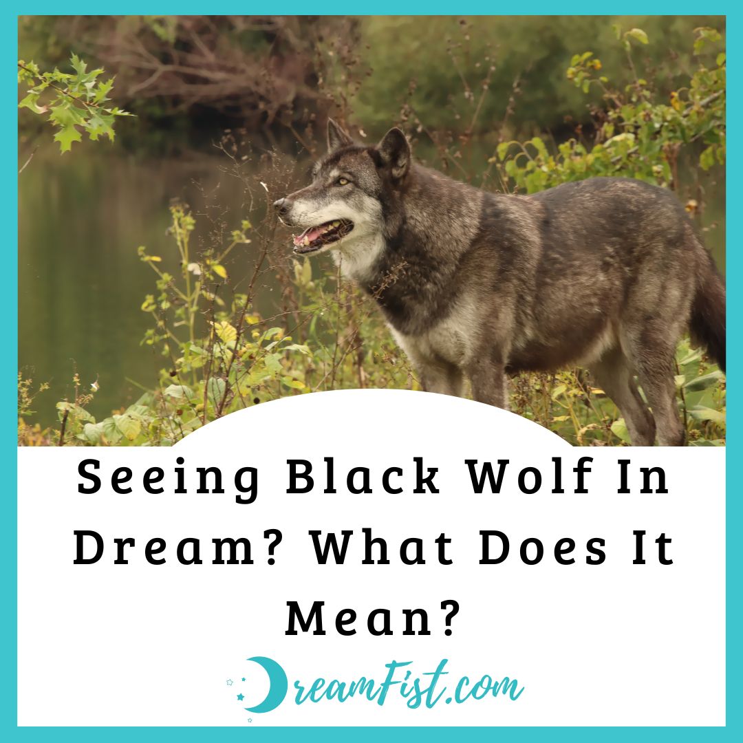 What Does A Black Wolf Symbolize In Dreams?
