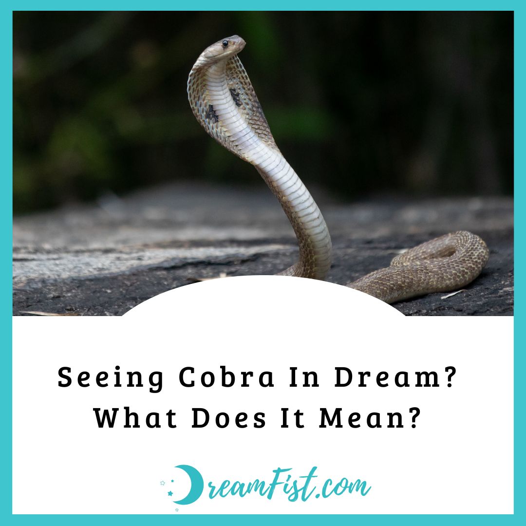 What Does Dream About Cobra Symbolize?
