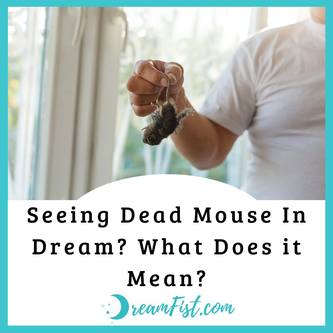 What Does Seeing a Dead Mouse Mean Spiritually?