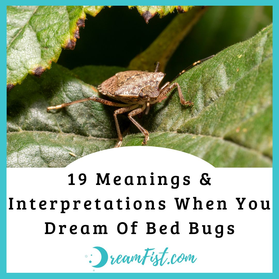 19 Meanings & Interpretations When You Dream Of Bed Bugs DreamFist