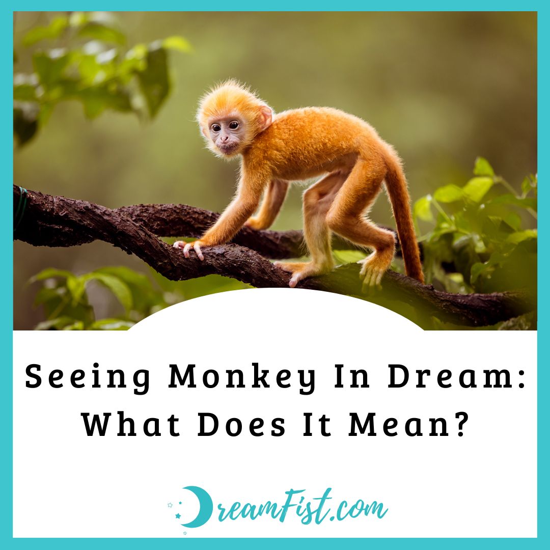 What does it mean when you dream about monkeys?