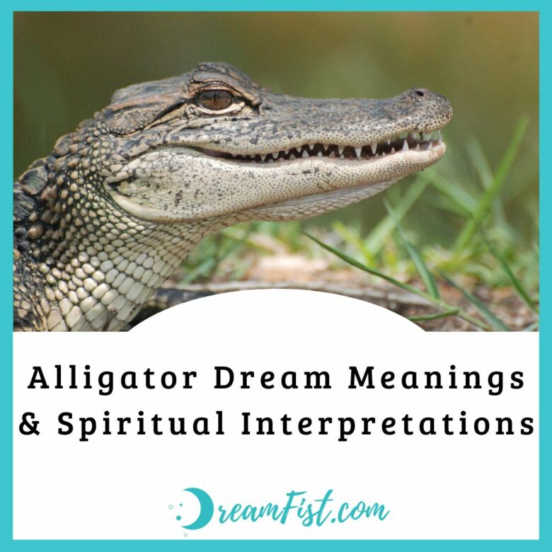 Alligator Dream Meanings & Spiritual Interpretations DreamFist