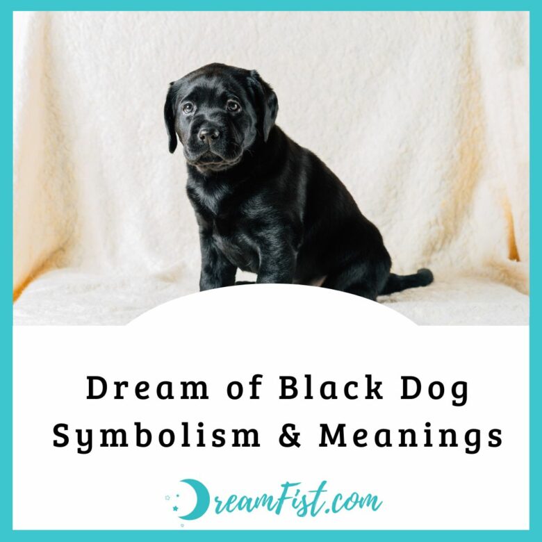 Dream of Black Dog Symbolism & Meanings - DreamFist