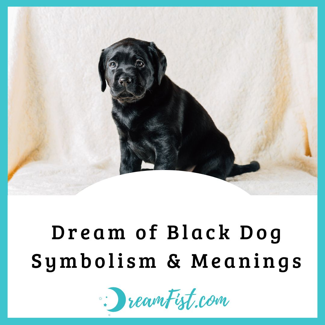 dream-of-black-dog-symbolism-meanings-dreamfist