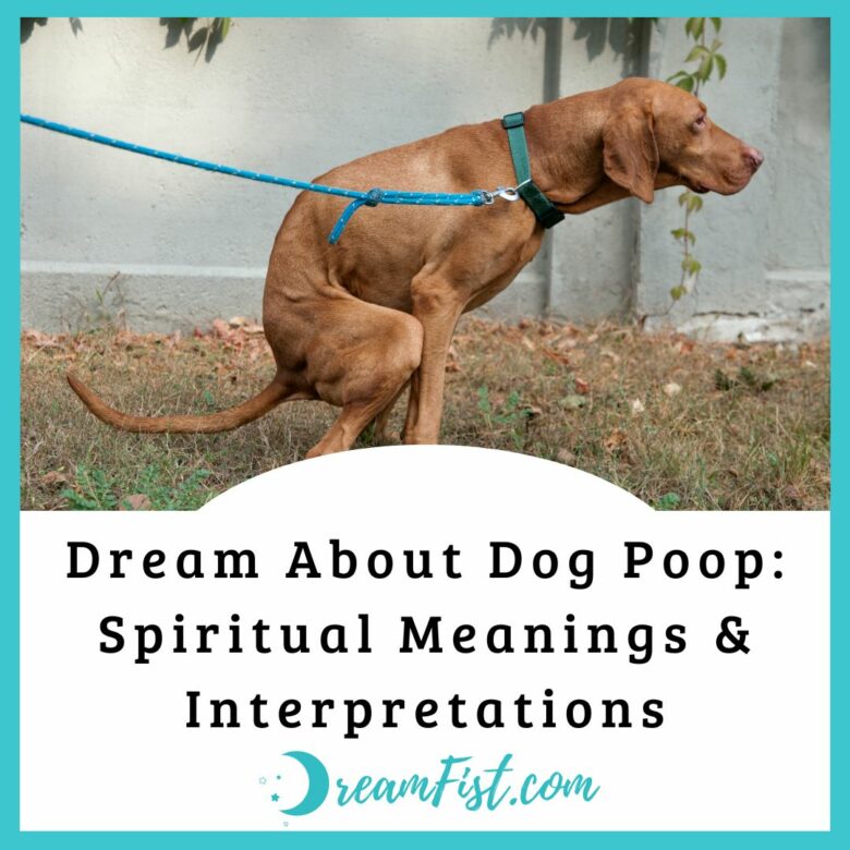 dream-about-dog-poop-spiritual-meanings-interpretations-dreamfist