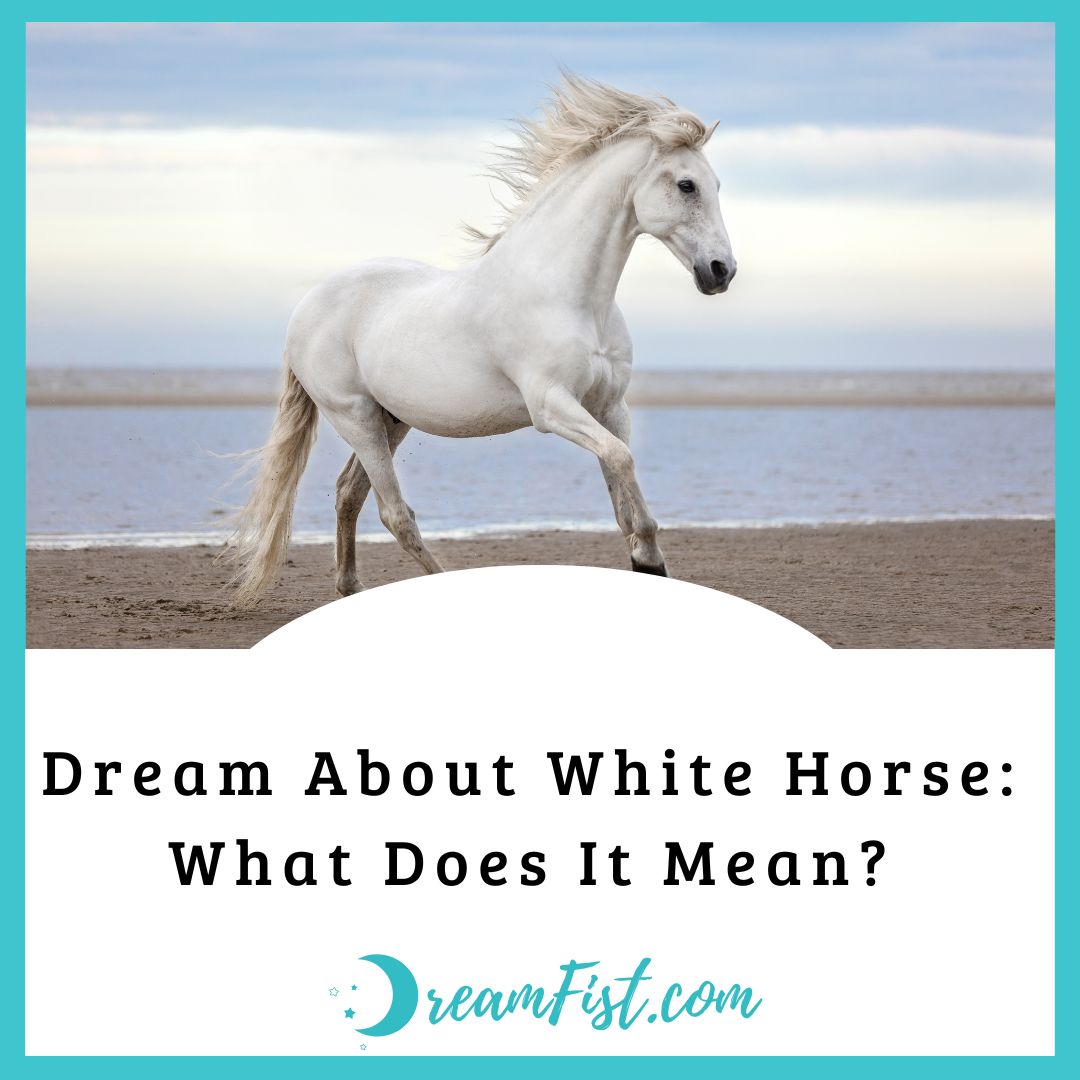 Dream About White Horse What Does It Mean? DreamFist