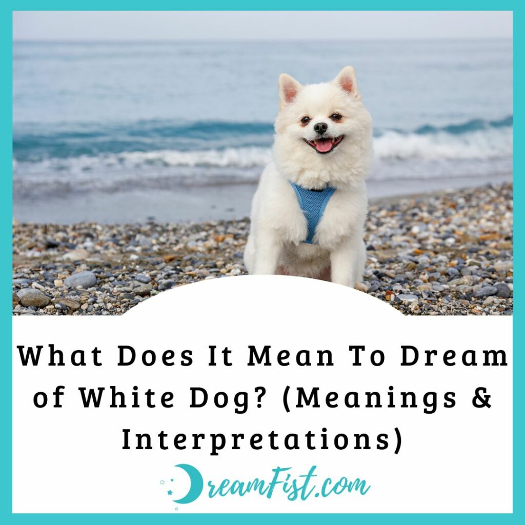 What Does It Mean To Dream of White Dog? (Meanings & Interpretations