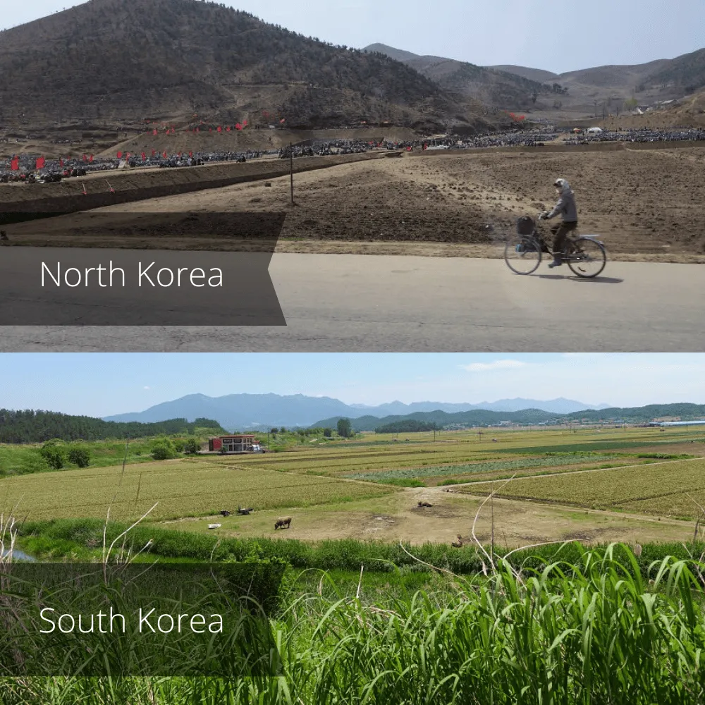 korea differences 42